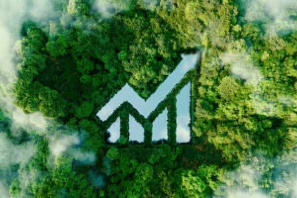 外媒：伊朗全国出现大面积断网